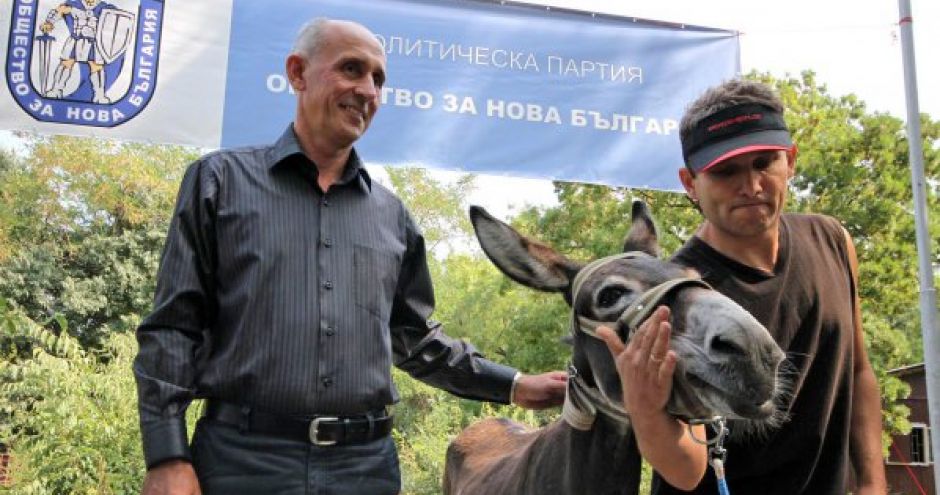 ane-marko-maire-varna