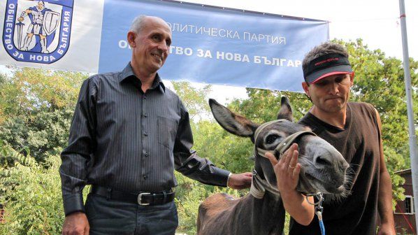 ane-marko-maire-varna