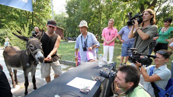 ane-marko-maire-varna