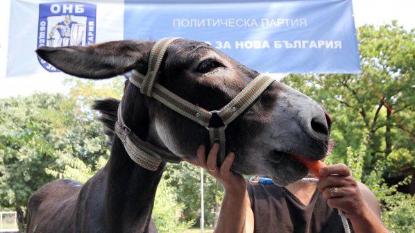 ane-marko-maire-varna