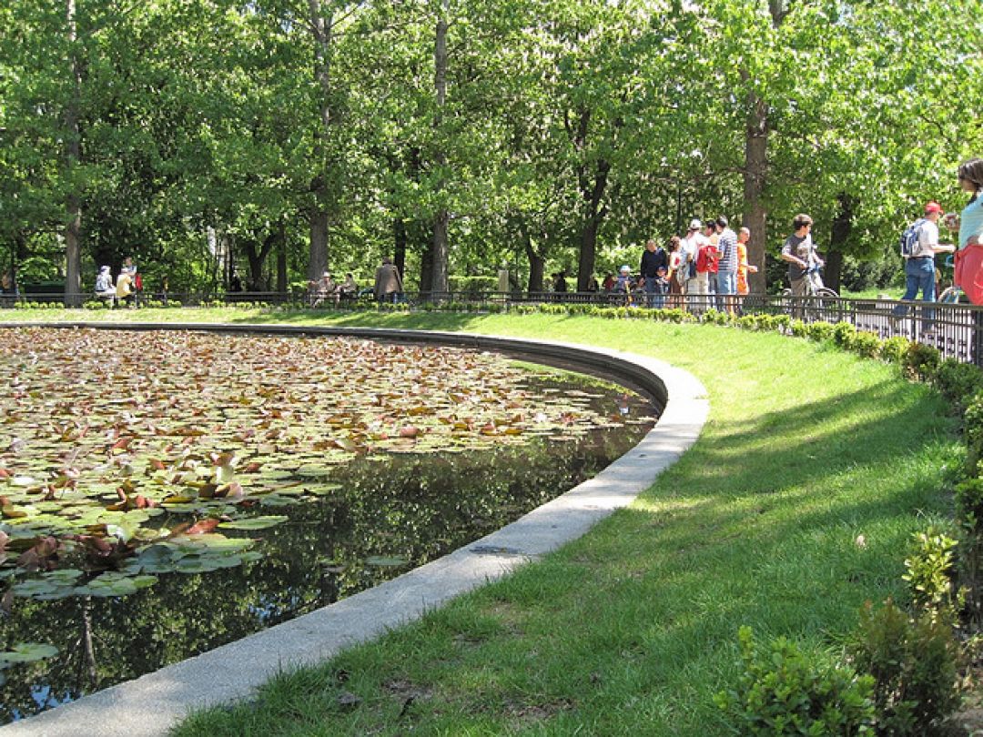 etang-de-nénuphars-sofia