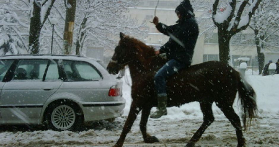 transport-sofia-cheval-neige-insolite