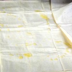 preparation-banitsa-5